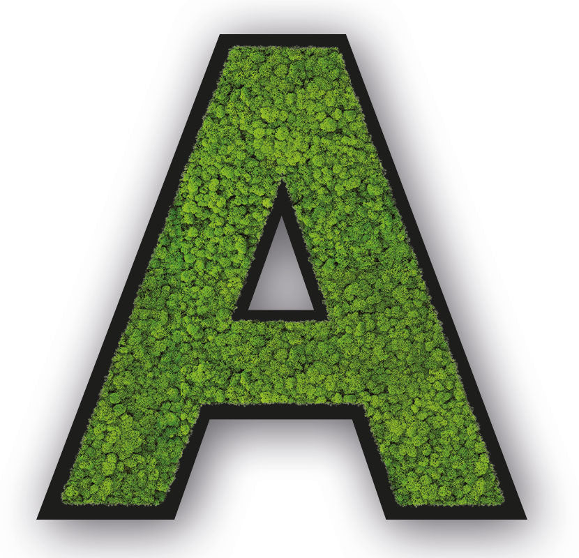Moos Buchstaben Schwarz