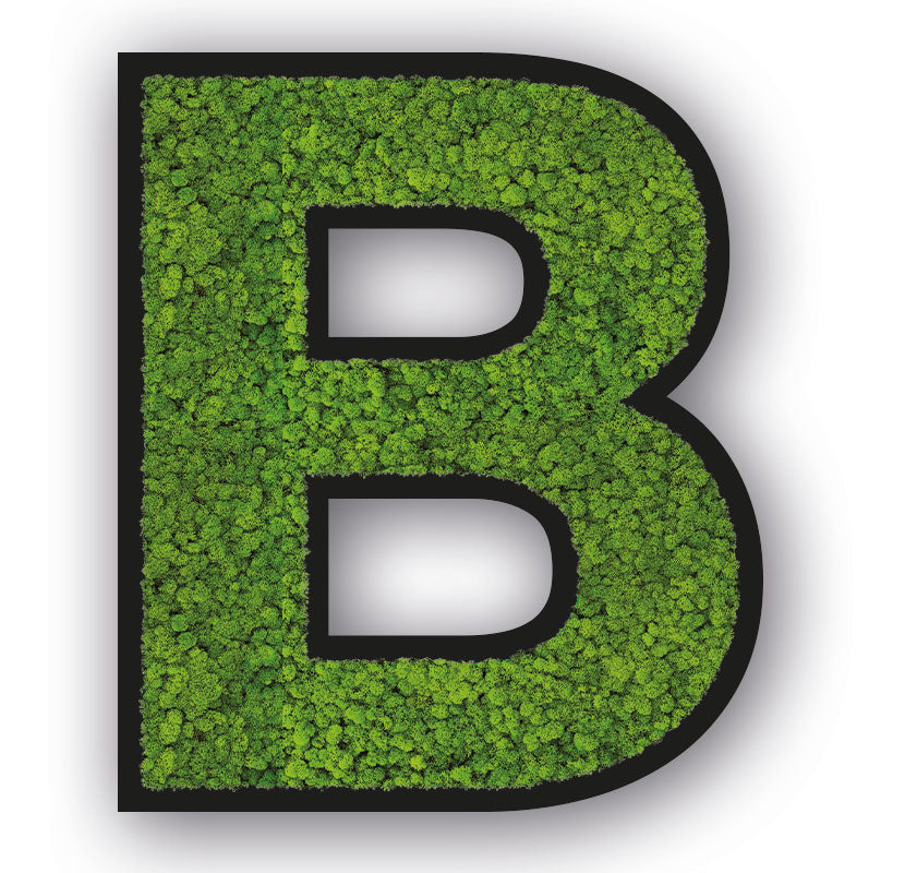 Moos Buchstaben Schwarz