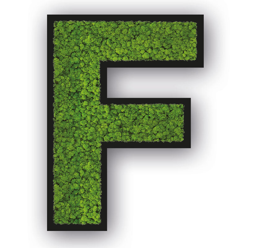 Moos Buchstaben Schwarz