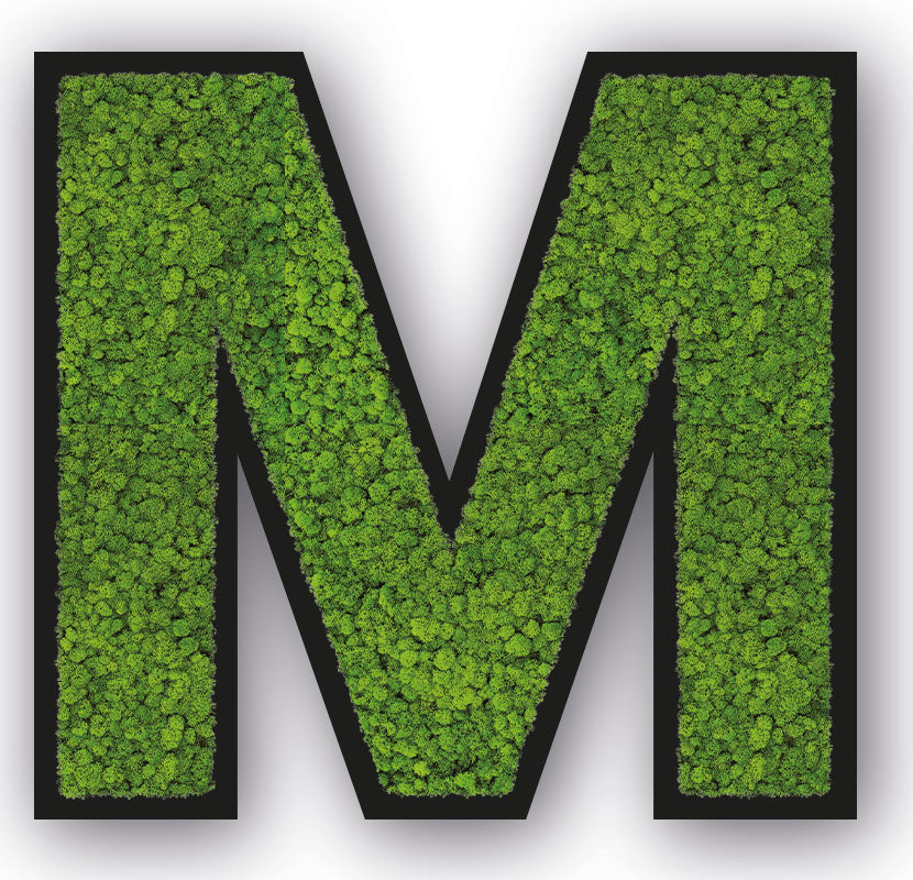 Moos Buchstaben Schwarz