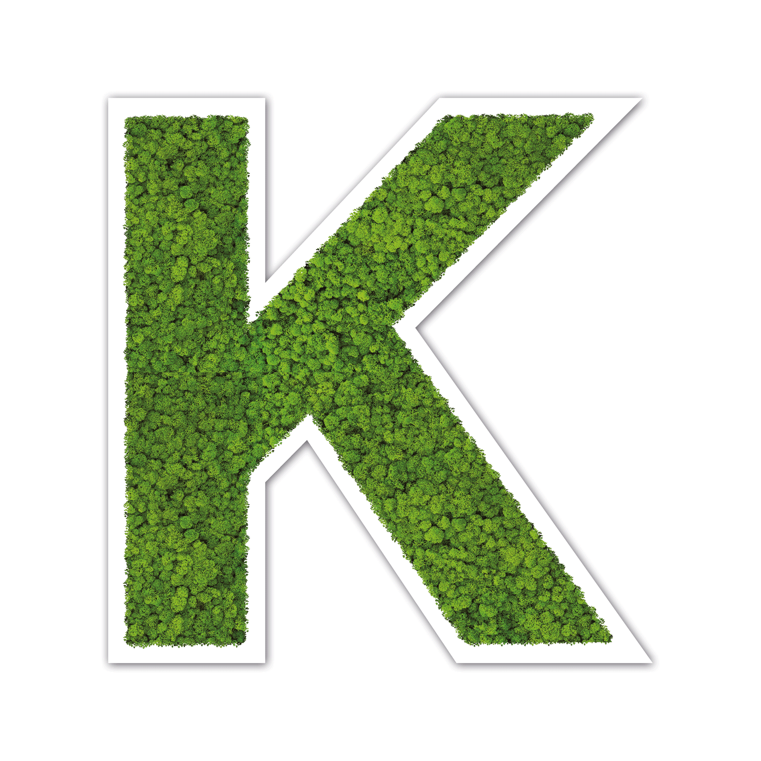 Moos Buchstaben Weiß