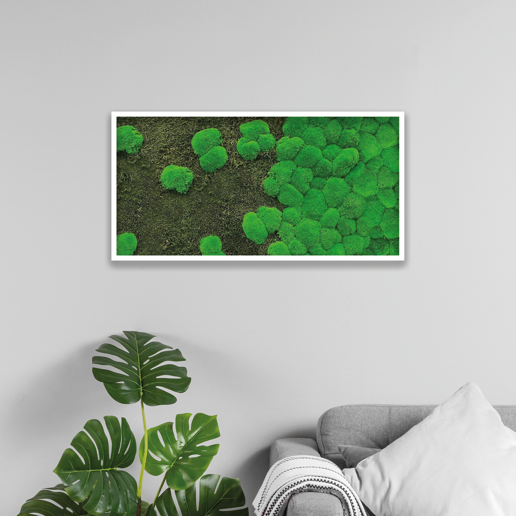 Moosfusion 100 x 50 cm