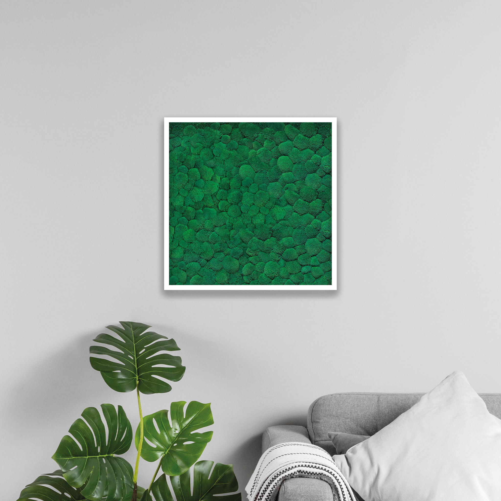 Ballenmoosbild 60x60cm