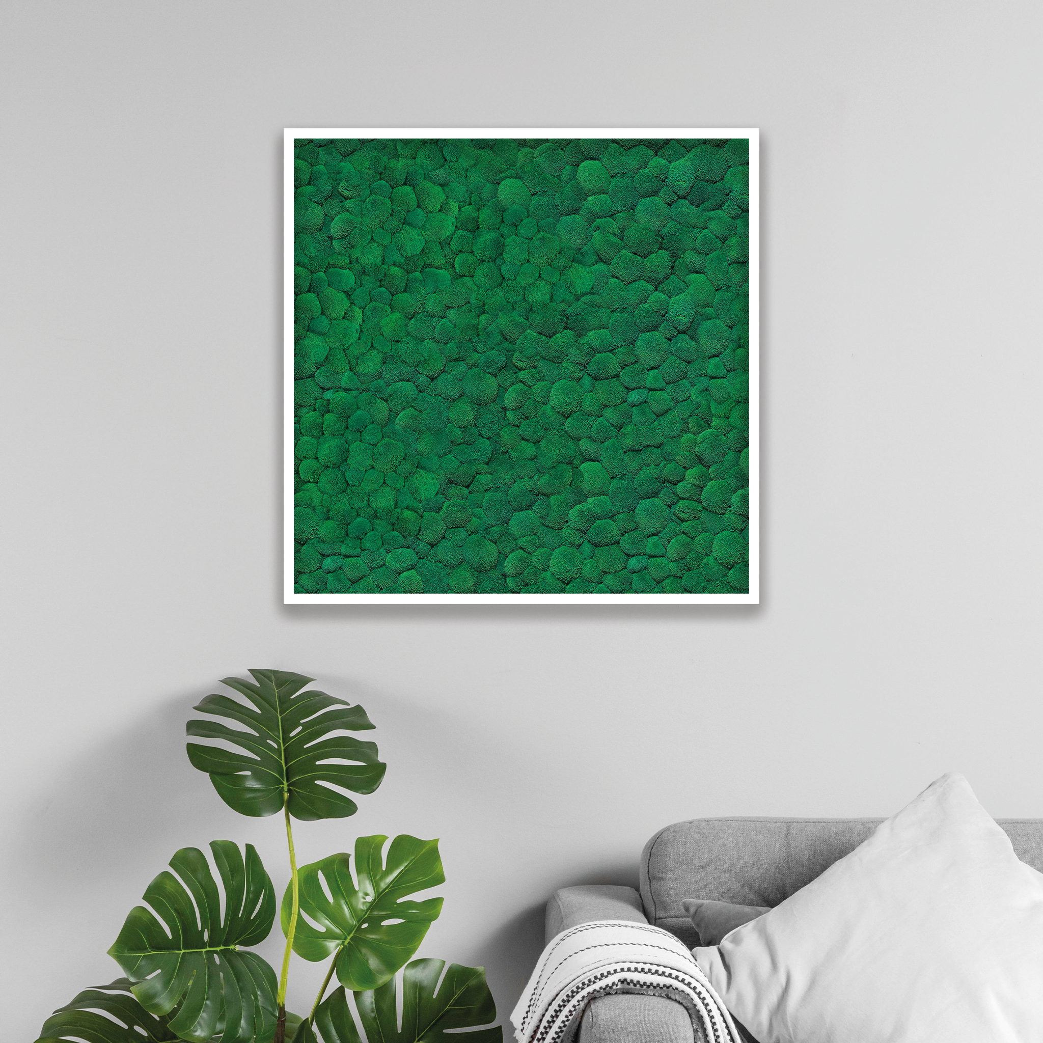 Ballenmoosbild 80x80cm