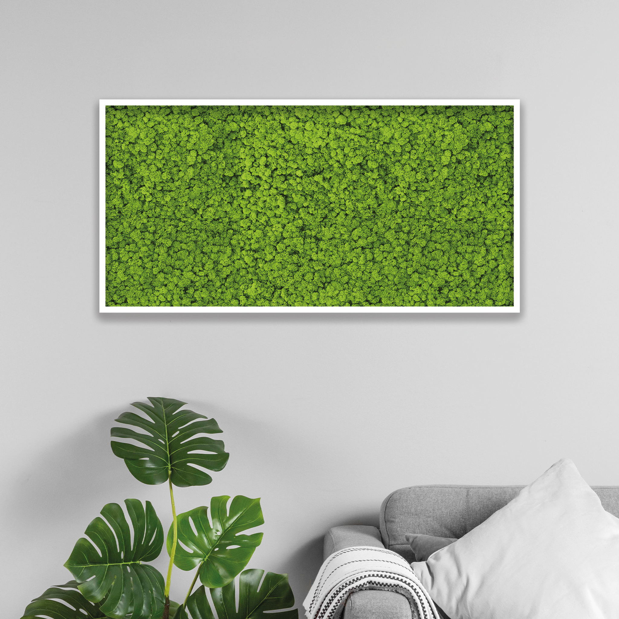 Islandmoos 120x60 cm