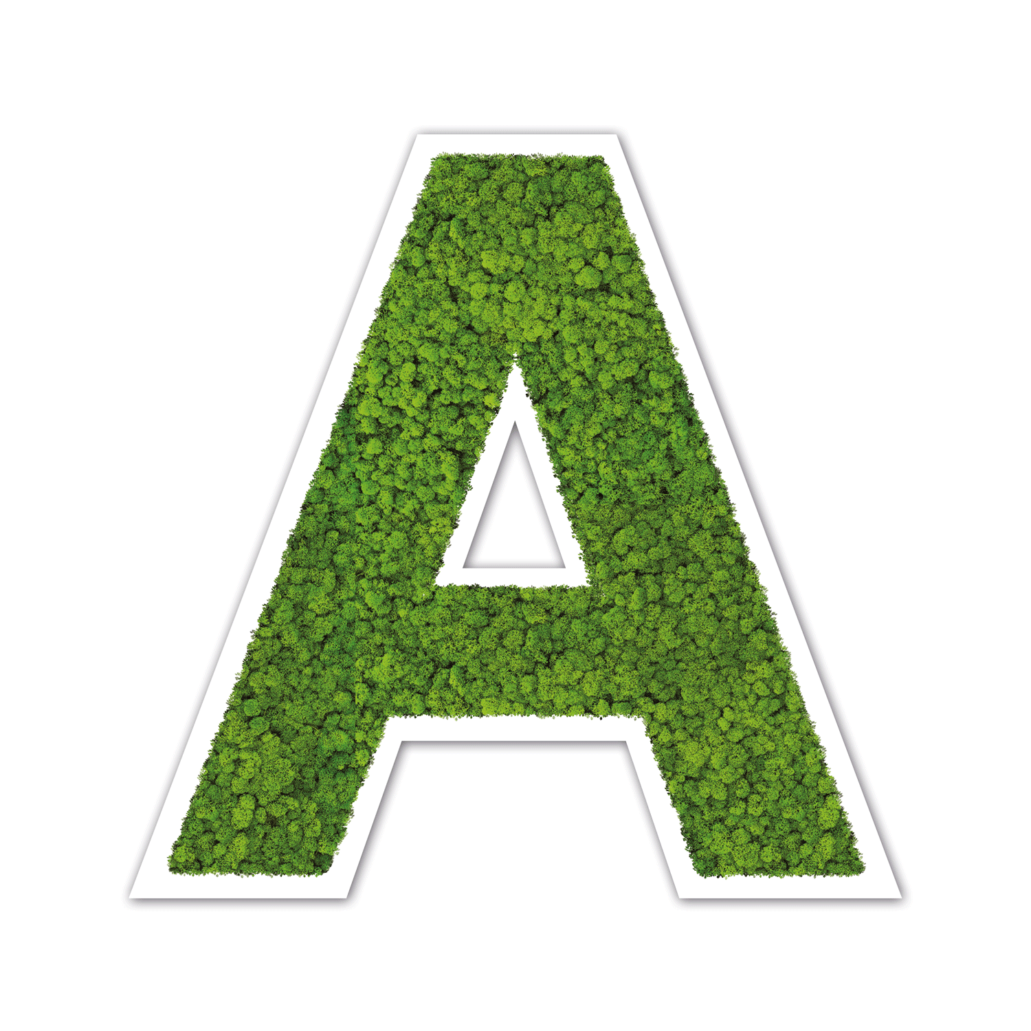 Moos Buchstaben Weiß