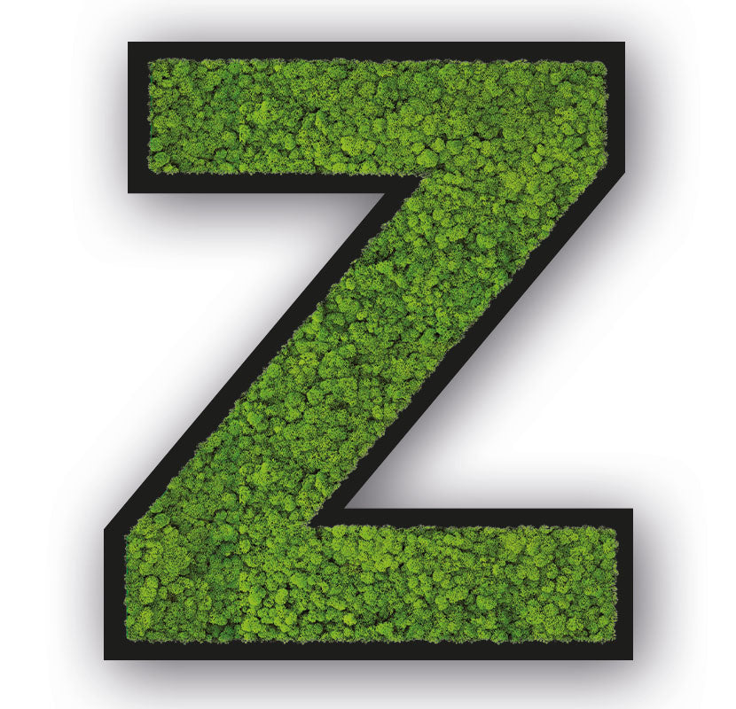 Moos Buchstaben Schwarz