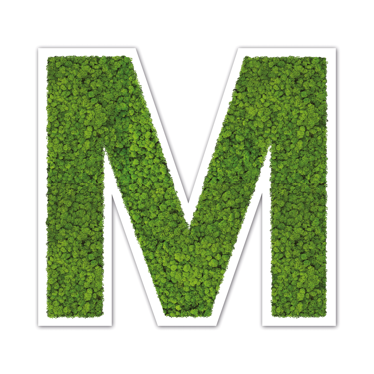 Moos Buchstaben Weiß