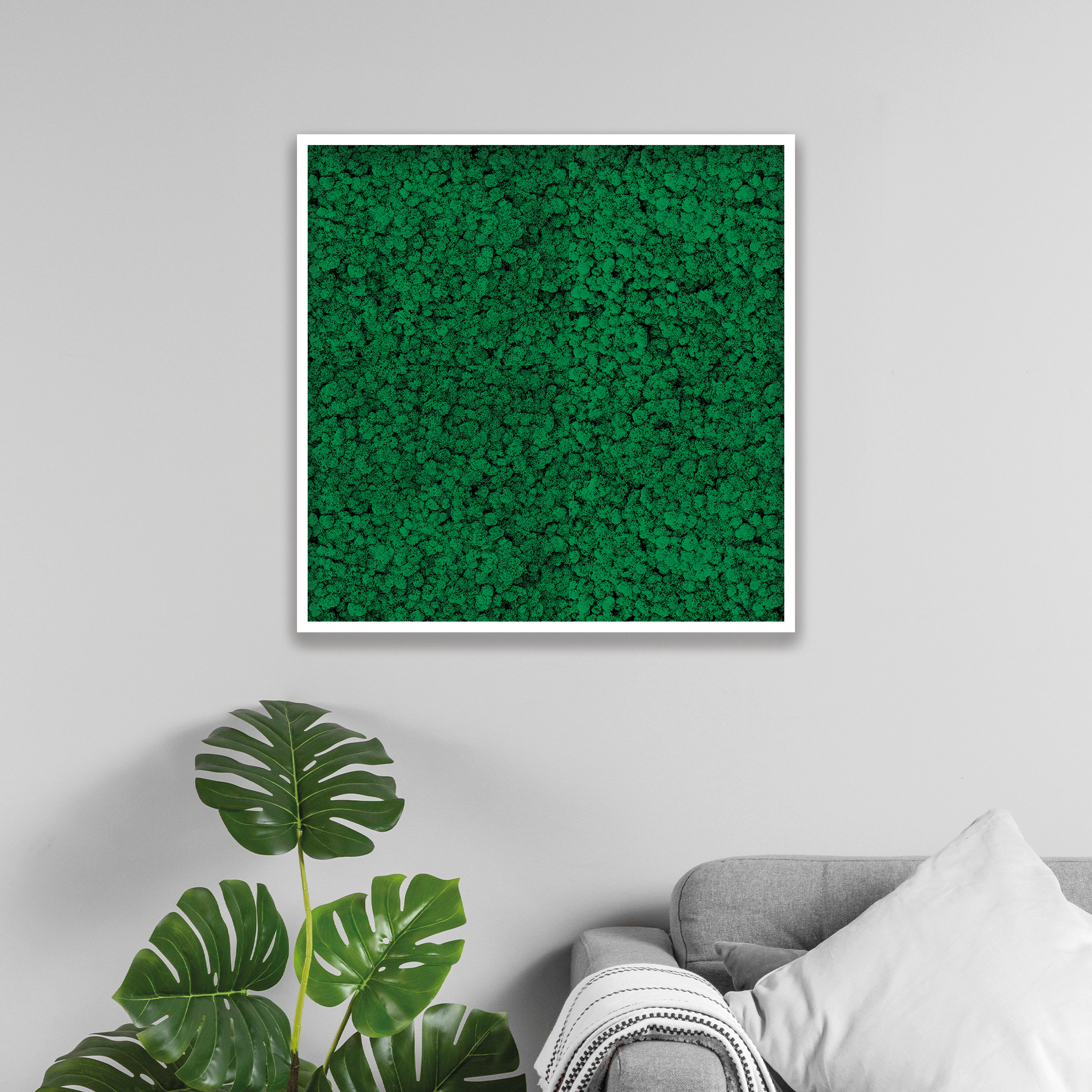 Islandmoos 80x80 cm