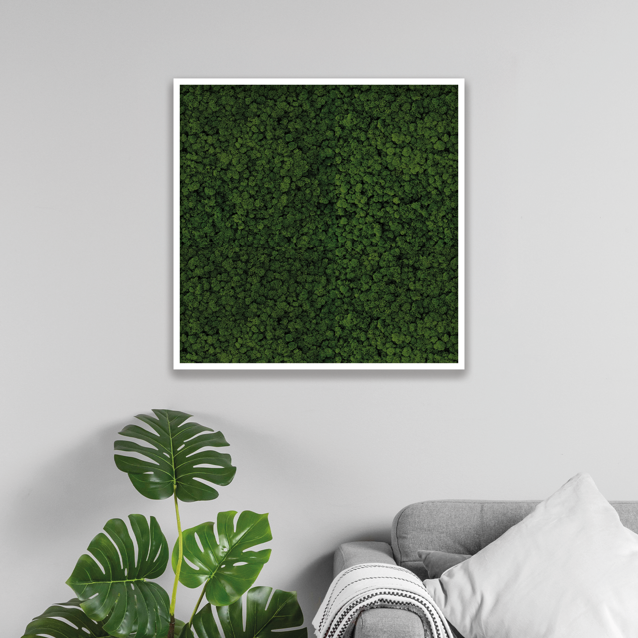 Islandmoos 80x80 cm
