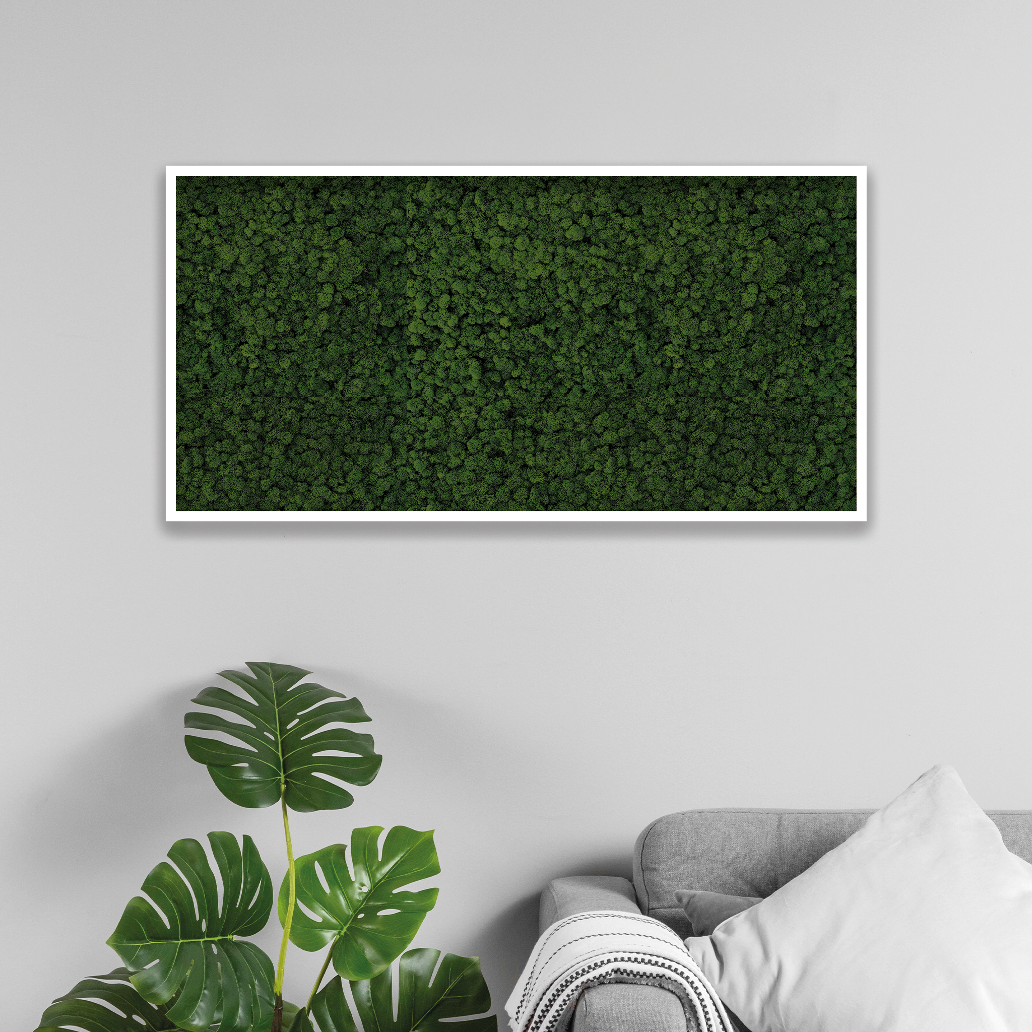 Islandmoos 120x60 cm