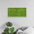 Islandmoos 100x50 cm